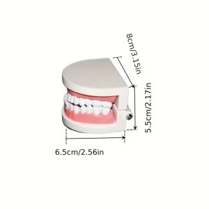 Демонстрационен модел за обучение по измиване на зъби